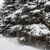 Image-square_50