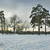 Image-square_50
