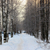 Image-square_50