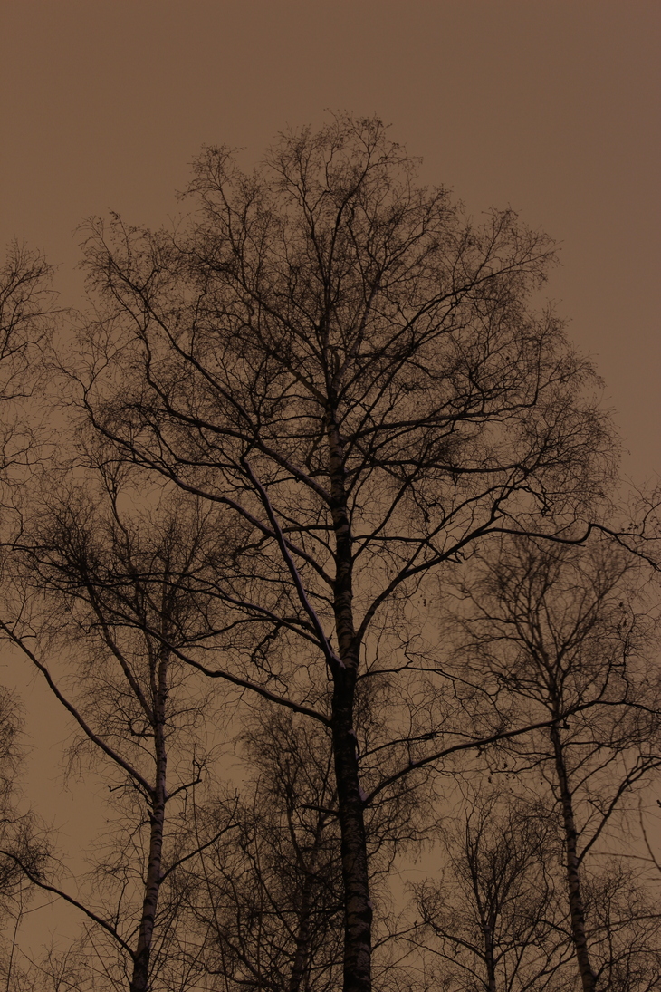 Image-normal