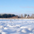 Image-square_50