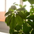 Image-square_50