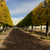 Image-square_50