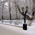 Image-square_50