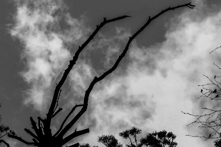 Image-normal