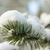 Image-square_50