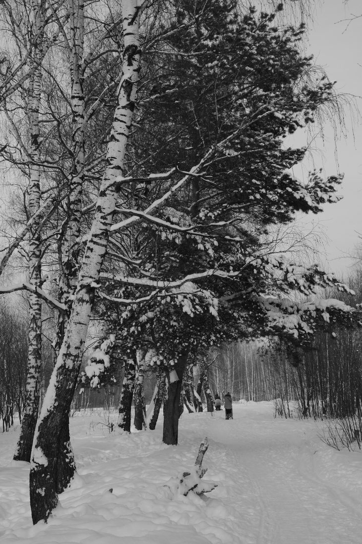 Image-normal