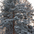 Image-square_50