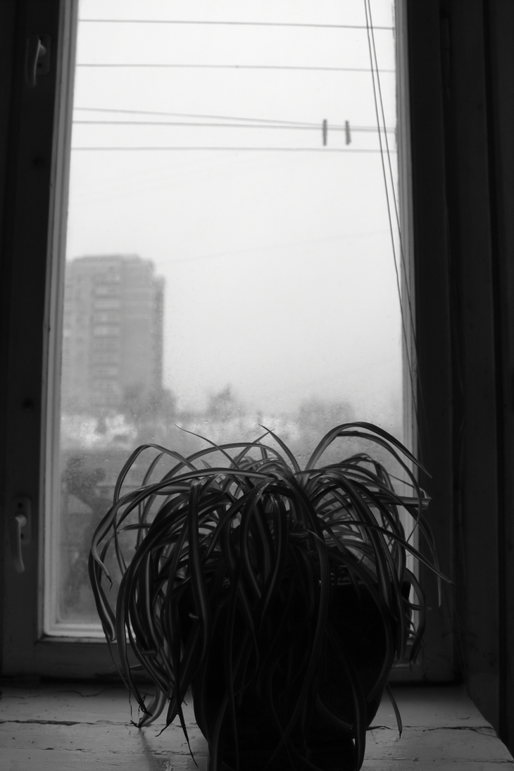 Image-normal