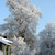Image-square_50