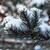 Image-square_50