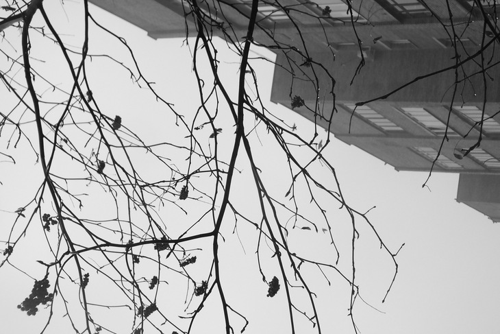 Image-normal