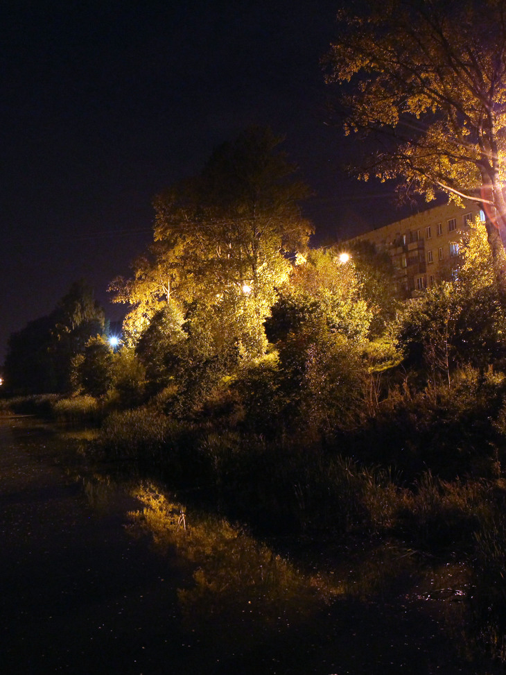 Image-normal