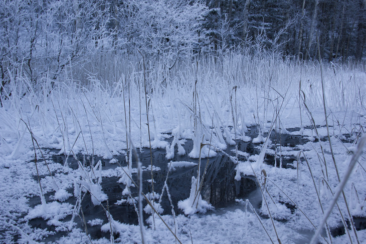 Image-normal