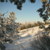 Image-square_50