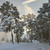 Image-square_50