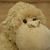 Image-square_50