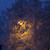Image-square_50