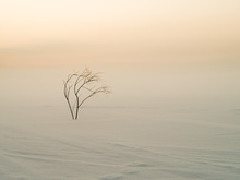 Image-rectangle_220_165