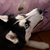 Image-square_50