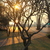 Image-square_50