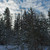 Image-square_50