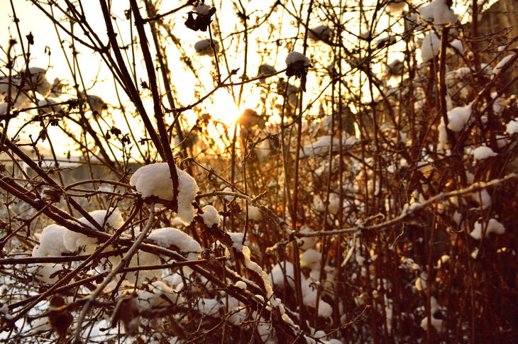 Image-normal