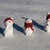 Image-square_50