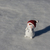 Image-square_50