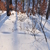 Image-square_50
