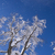 Image-square_50