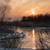 Image-square_50