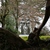 Image-square_50