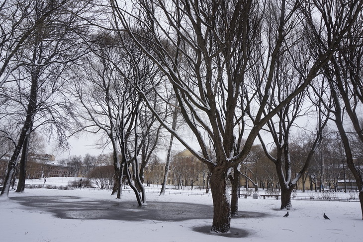 Image-normal