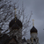 Image-square_50