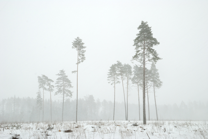 Image-normal
