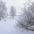 Image-square_50