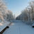 Image-square_50