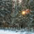 Image-square_50