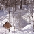 Image-square_50