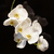 Image-square_50