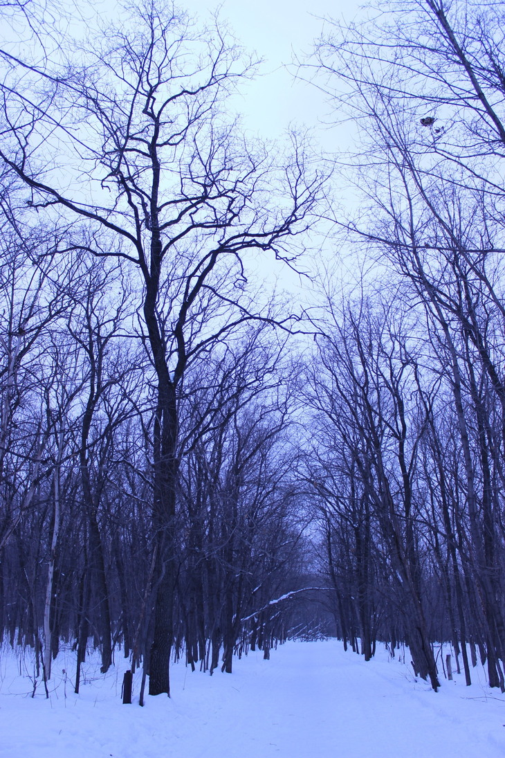Image-normal
