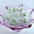 Image-square_50