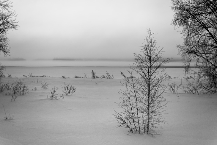 Image-normal