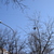 Image-square_50