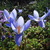 Image-square_50