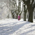 Image-square_50