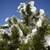 Image-square_50