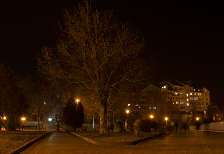 Image-normal