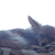 Image-square_50